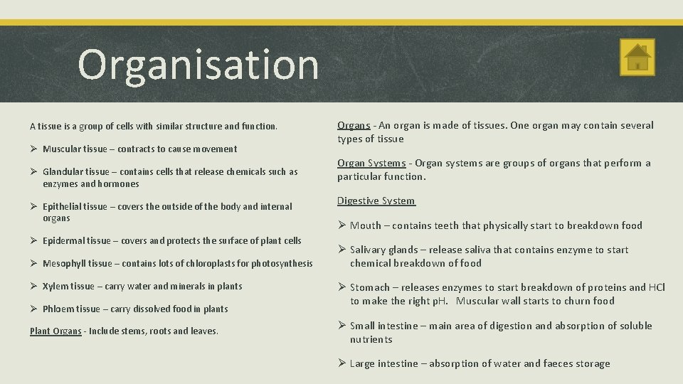 Organisation A tissue is a group of cells with similar structure and function. Ø