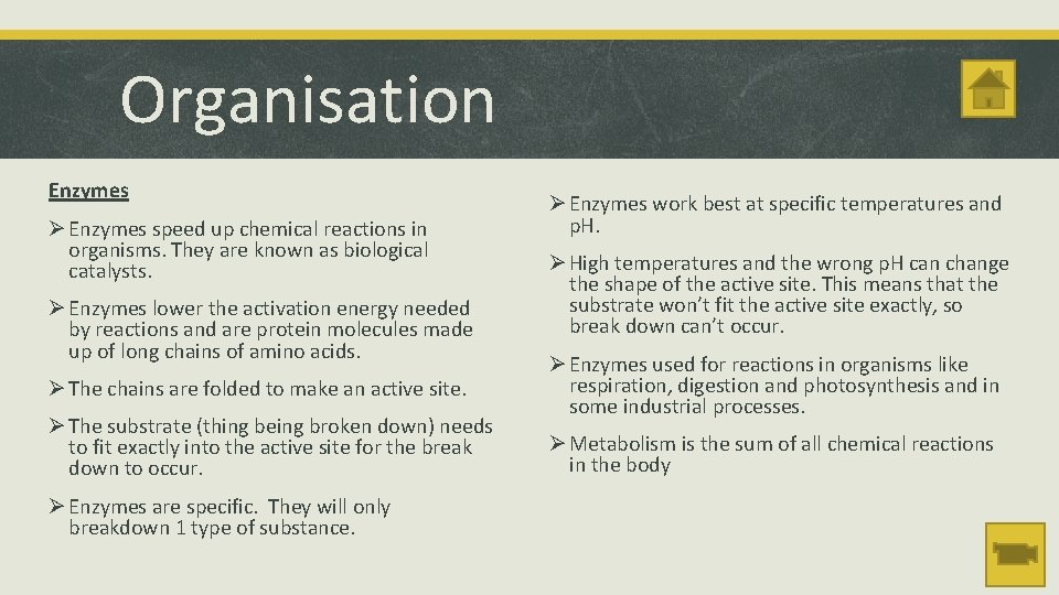 Organisation Enzymes Ø Enzymes speed up chemical reactions in organisms. They are known as