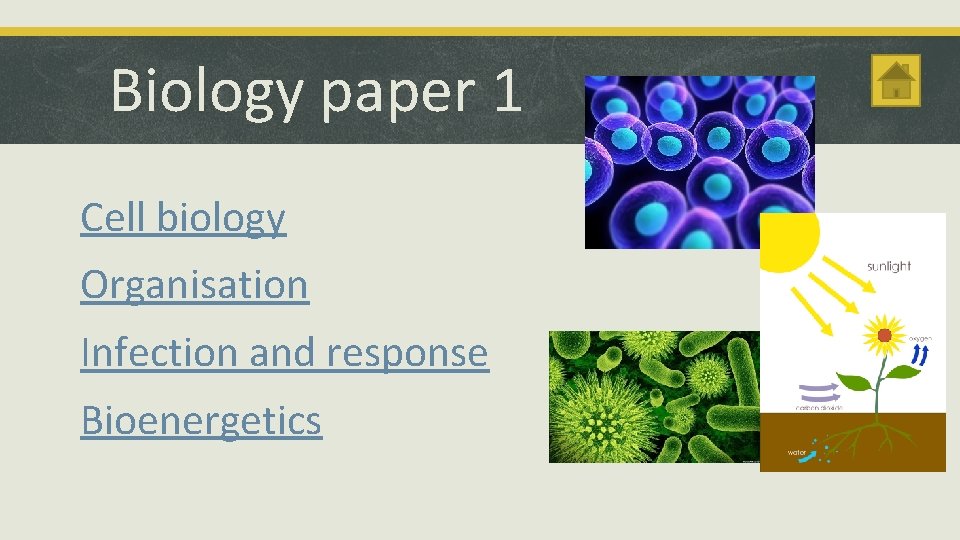 Biology paper 1 Cell biology Organisation Infection and response Bioenergetics 