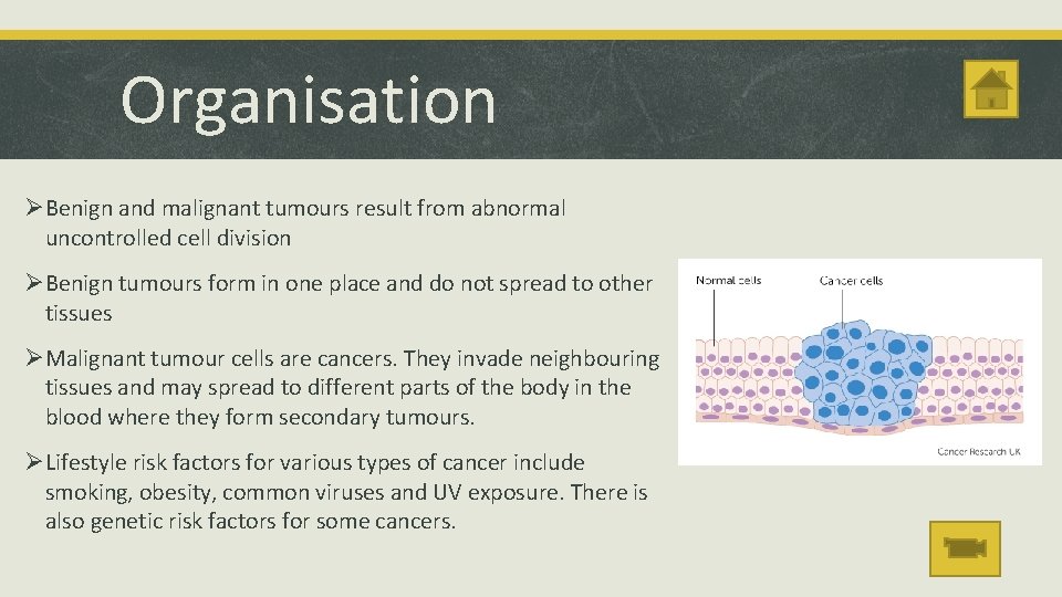 Organisation ØBenign and malignant tumours result from abnormal uncontrolled cell division ØBenign tumours form