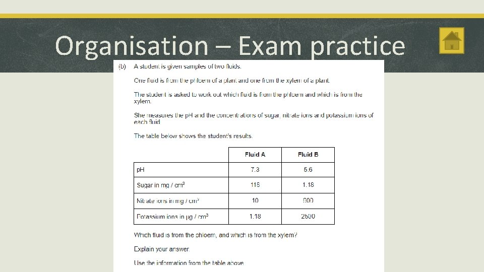 Organisation – Exam practice 