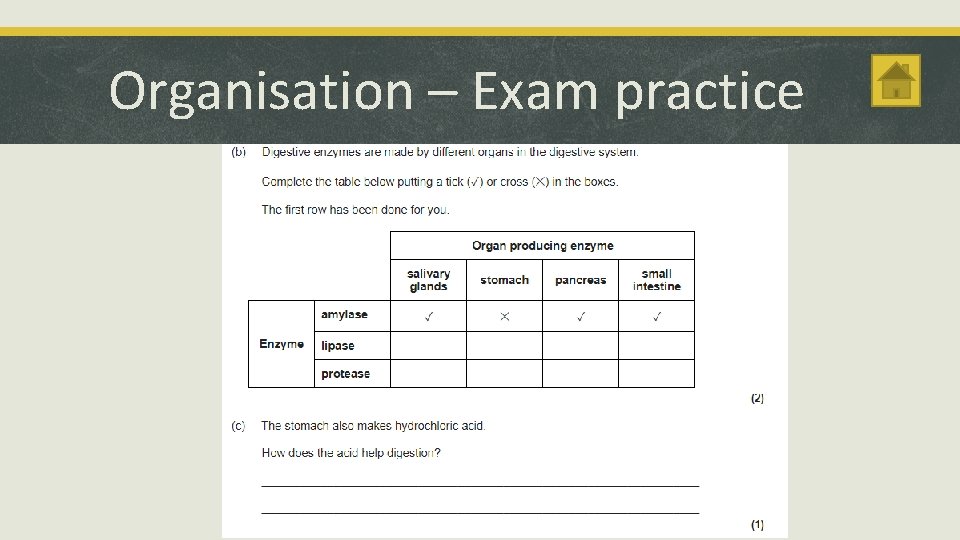 Organisation – Exam practice 