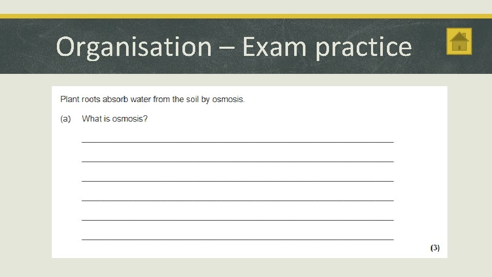 Organisation – Exam practice 