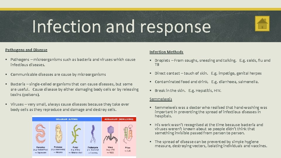 Infection and response Pathogens and Disease Infection Methods § Pathogens – microorganisms such as