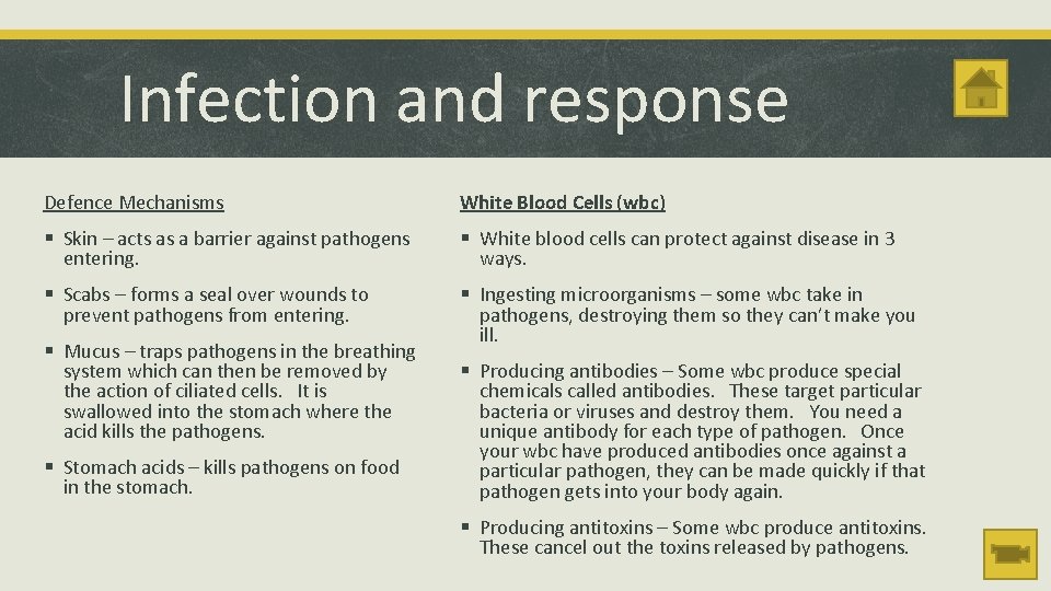 Infection and response Defence Mechanisms White Blood Cells (wbc) § Skin – acts as