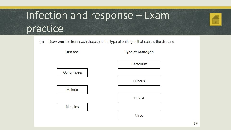 Infection and response – Exam practice 