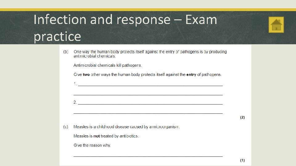 Infection and response – Exam practice 