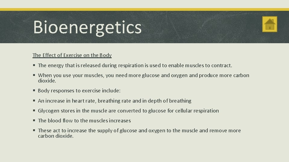 Bioenergetics The Effect of Exercise on the Body § The energy that is released