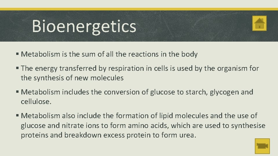 Bioenergetics § Metabolism is the sum of all the reactions in the body §