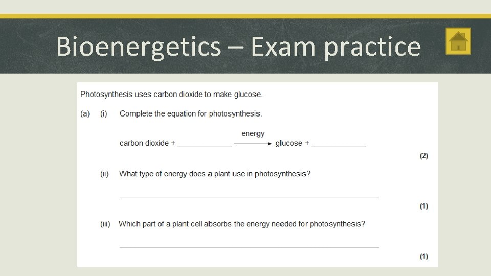 Bioenergetics – Exam practice 