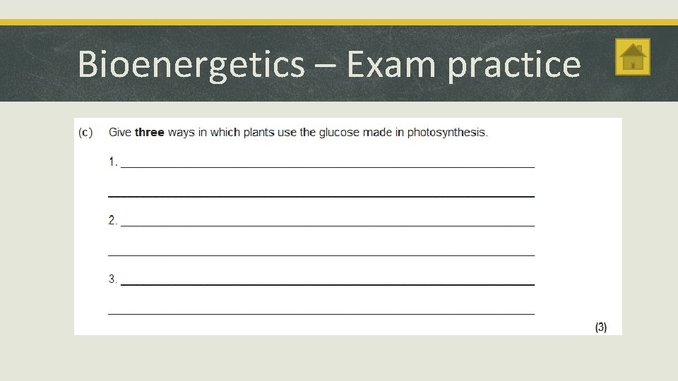 Bioenergetics – Exam practice 