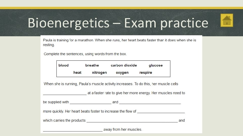 Bioenergetics – Exam practice 