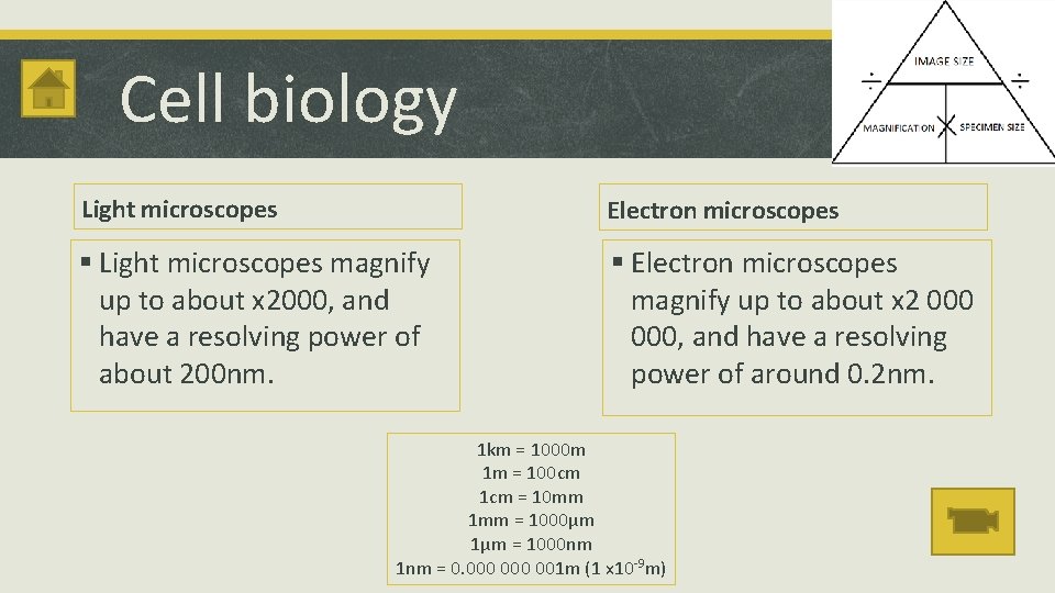 Cell biology Light microscopes Electron microscopes § Light microscopes magnify up to about x