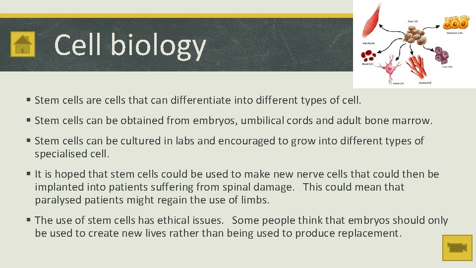 Cell biology § Stem cells are cells that can differentiate into different types of