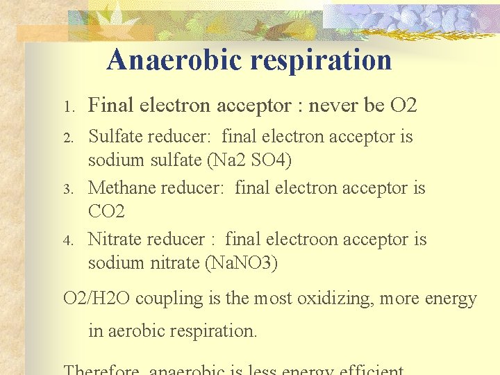 Anaerobic respiration 1. Final electron acceptor : never be O 2 2. Sulfate reducer: