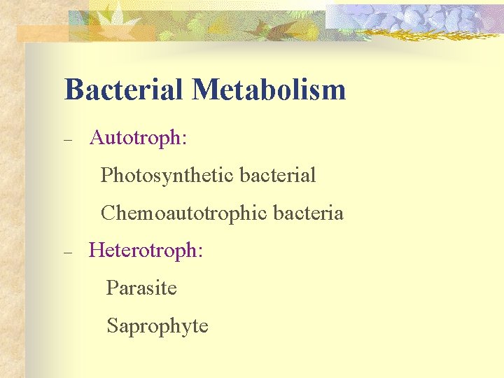Bacterial Metabolism – Autotroph: Photosynthetic bacterial Chemoautotrophic bacteria – Heterotroph: Parasite Saprophyte 