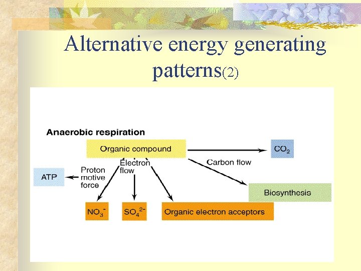Alternative energy generating patterns(2) 