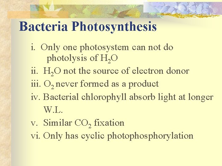 Bacteria Photosynthesis i. Only one photosystem can not do photolysis of H 2 O