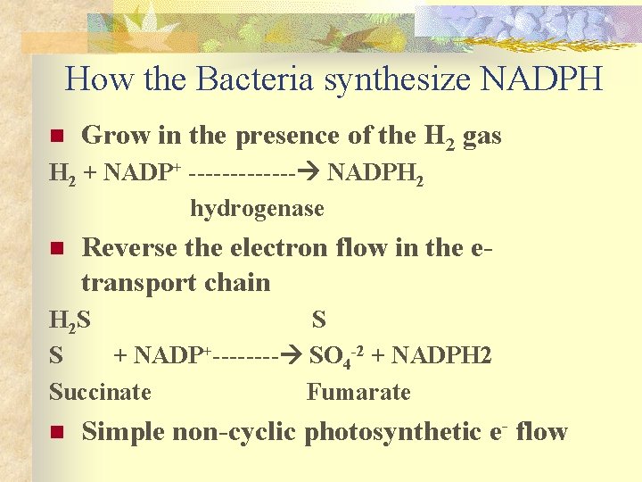 How the Bacteria synthesize NADPH n Grow in the presence of the H 2