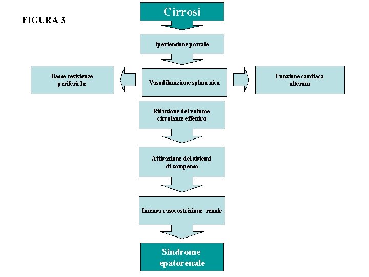 FIGURA 3 Cirrosi Ipertensione portale Basse resistenze periferiche Vasodilatazione splancnica Riduzione del volume circolante FIGURA 3 Cirrosi Ipertensione portale Basse resistenze periferiche Vasodilatazione splancnica Riduzione del volume circolante