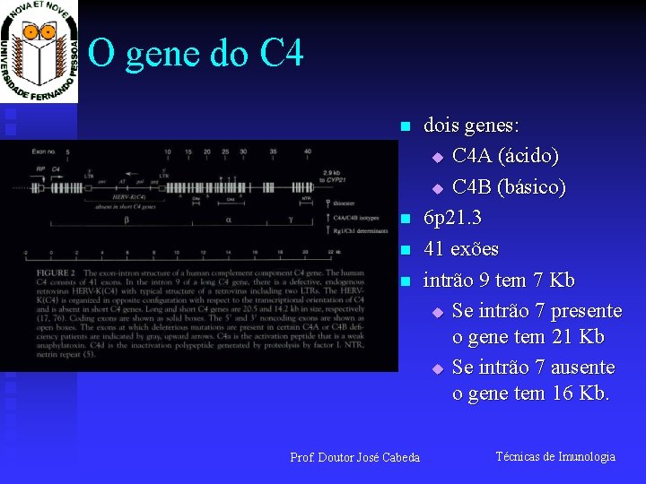 O gene do C 4 n n Prof. Doutor José Cabeda dois genes: u