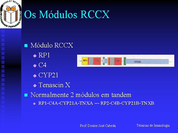 Os Módulos RCCX n n Módulo RCCX u RP 1 u C 4 u