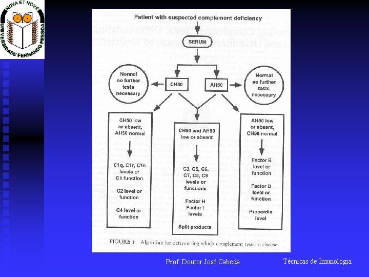 Prof. Doutor José Cabeda Técnicas de Imunologia 