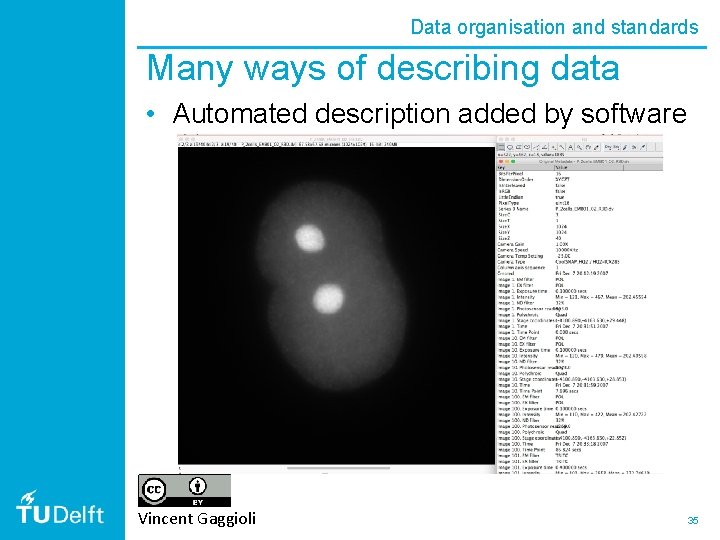 Data organisation and standards Many ways of describing data • Automated description added by