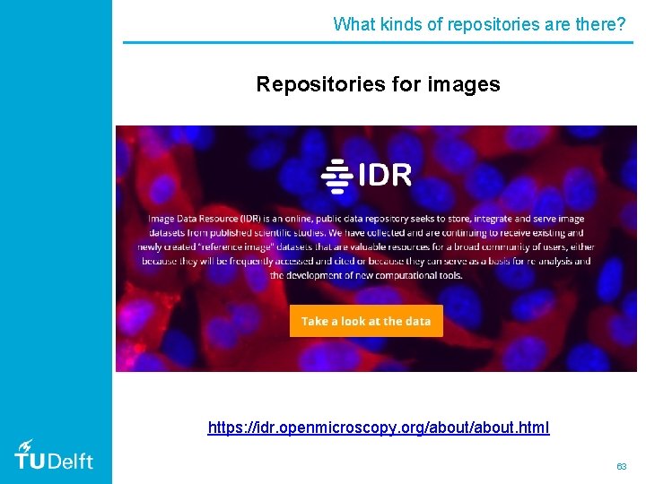 What kinds of repositories are there? Repositories for images https: //idr. openmicroscopy. org/about. html