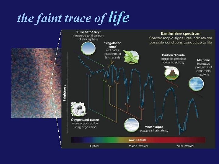 the faint trace of life 