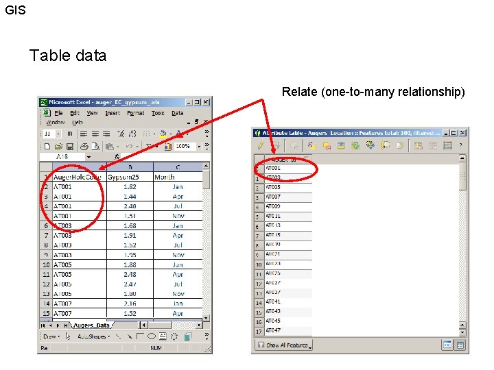 GIS Table data Relate (one-to-many relationship) 