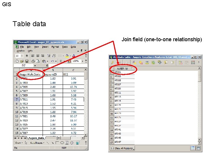 GIS Table data Join field (one-to-one relationship) 