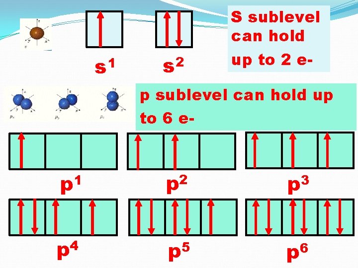 s 1 s 2 S sublevel can hold up to 2 e- p sublevel
