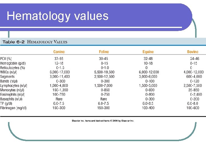 Hematology values 