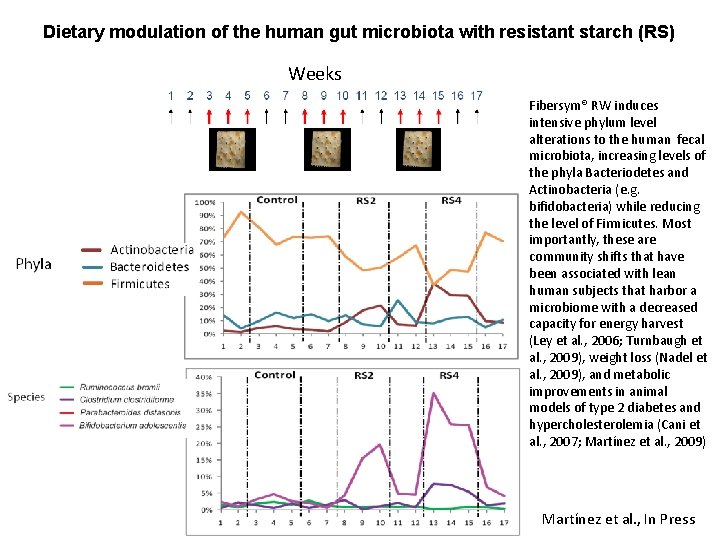 Dietary modulation of the human gut microbiota with resistant starch (RS) Weeks Fibersym® RW