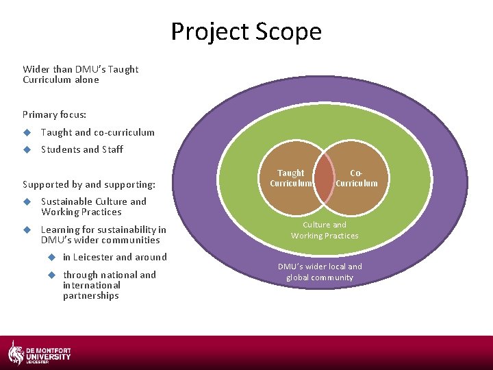 Project Scope Wider than DMU’s Taught Curriculum alone Primary focus: Taught and co-curriculum Students