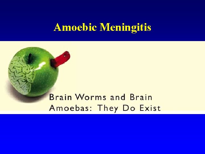 Amoebic Meningitis 