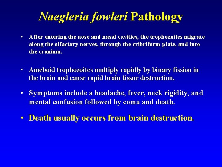 Naegleria fowleri Pathology • After entering the nose and nasal cavities, the trophozoites migrate