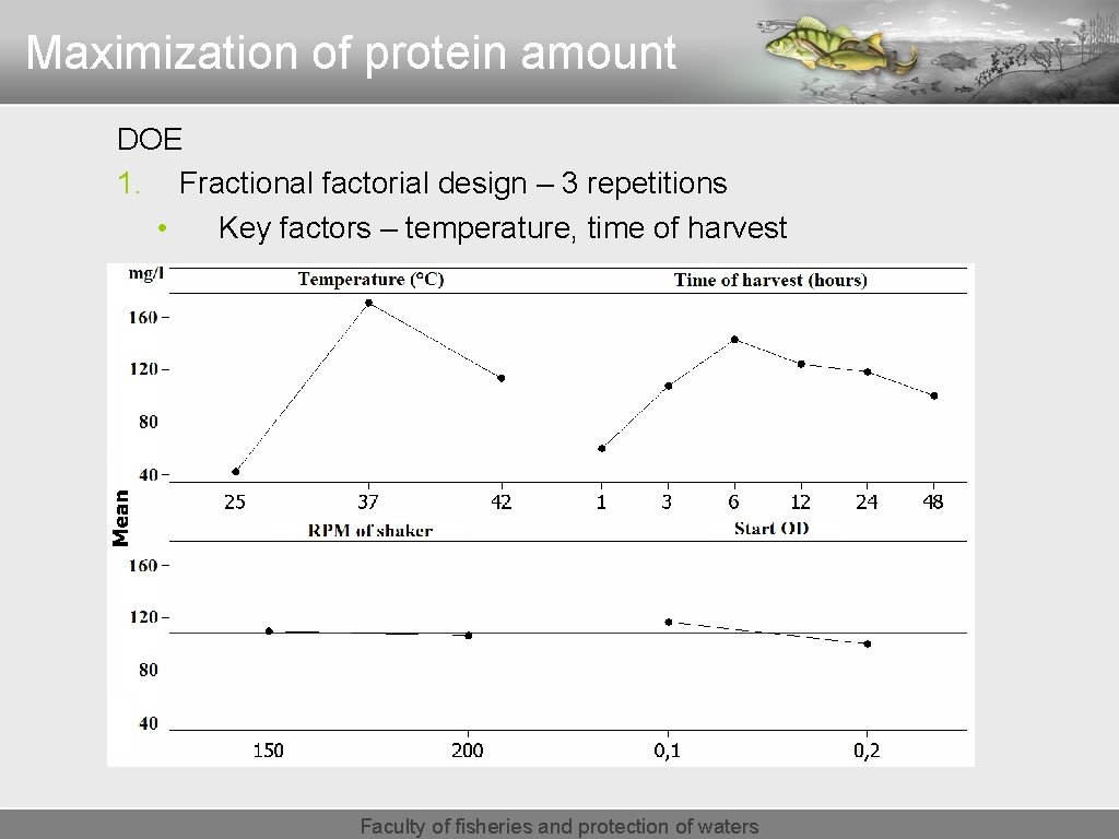 Maximization of protein amount DOE 1. Fractional factorial design – 3 repetitions • Key