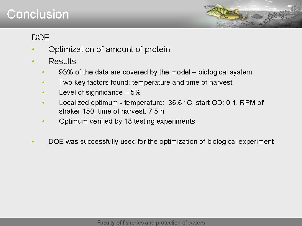 Conclusion DOE • Optimization of amount of protein • Results • • • 93%