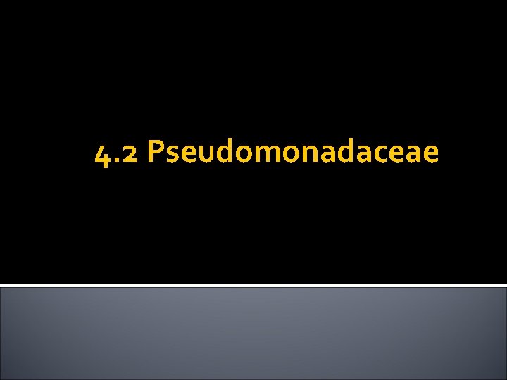 4. 2 Pseudomonadaceae 