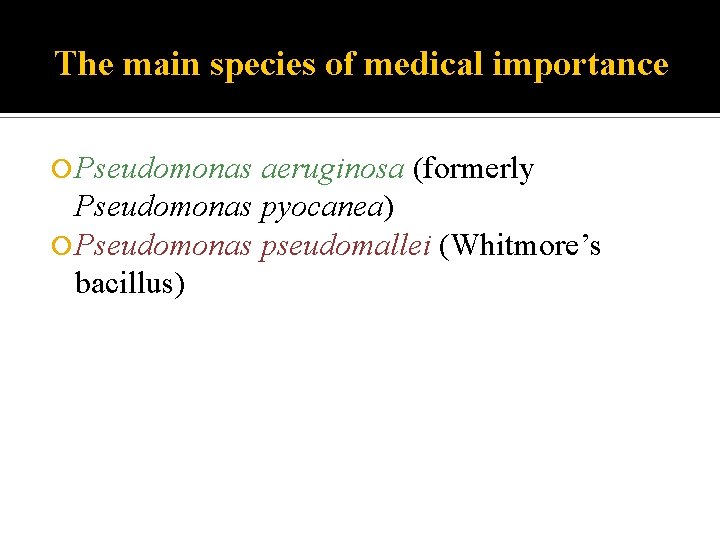 The main species of medical importance Pseudomonas aeruginosa (formerly Pseudomonas pyocanea) Pseudomonas pseudomallei (Whitmore’s
