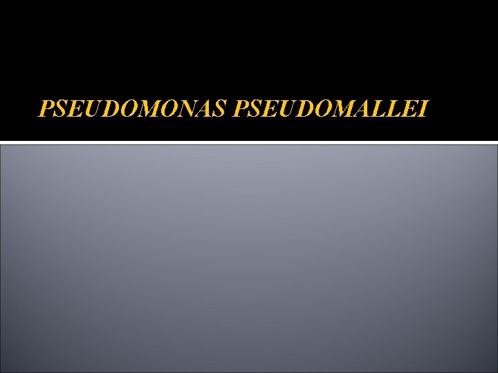 PSEUDOMONAS PSEUDOMALLEI 