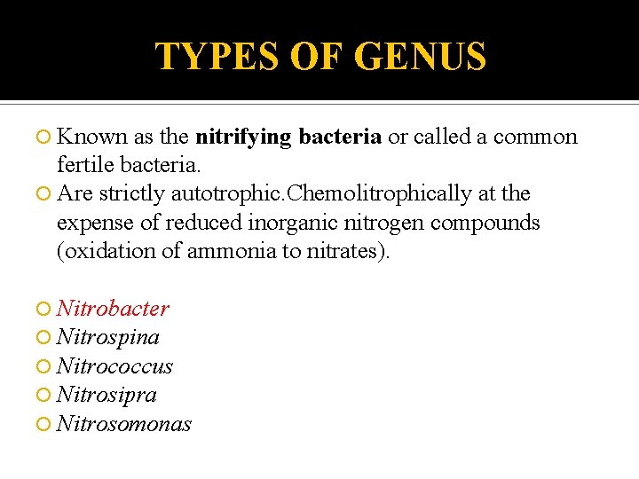 TYPES OF GENUS Known as the nitrifying bacteria or called a common fertile bacteria.