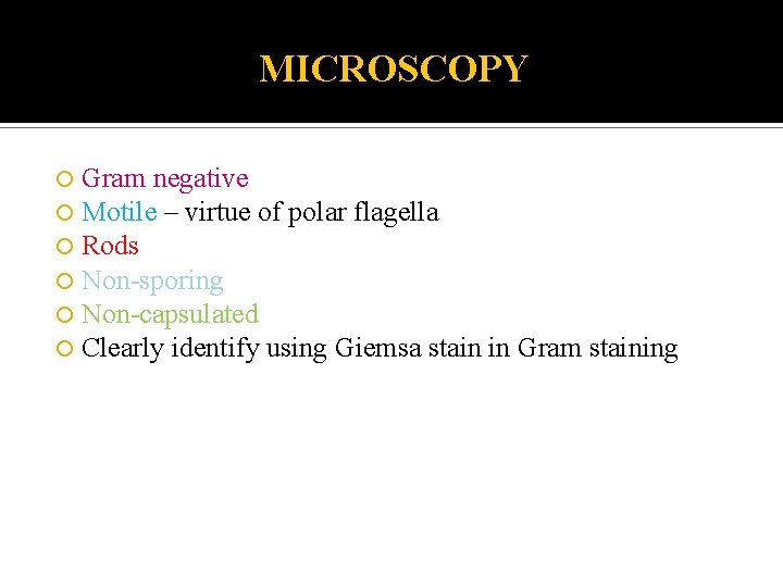 MICROSCOPY Gram negative Motile – virtue of polar flagella Rods Non-sporing Non-capsulated Clearly identify