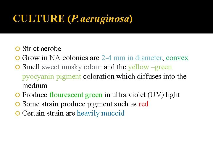 CULTURE (P. aeruginosa) Strict aerobe Grow in NA colonies are 2 -4 mm in