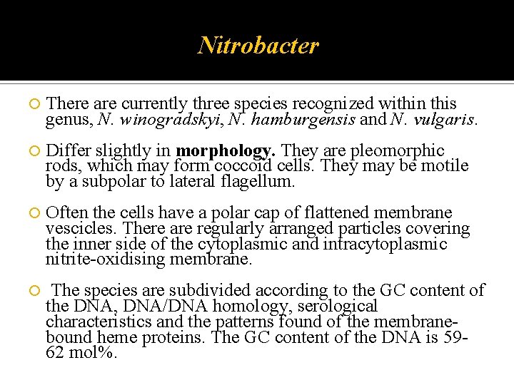 Nitrobacter There are currently three species recognized within this genus, N. winogradskyi, N. hamburgensis