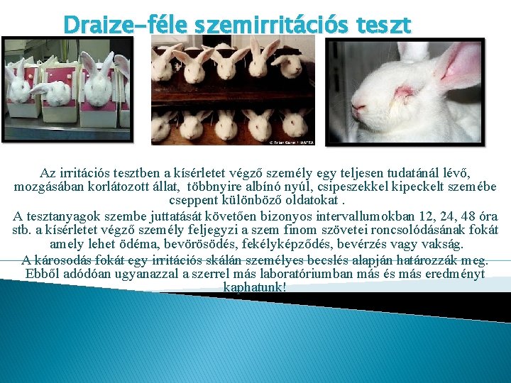 Draize-féle szemirritációs teszt Az irritációs tesztben a kísérletet végző személy egy teljesen tudatánál lévő,