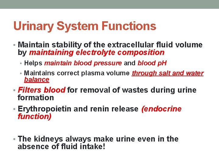 Urinary System Functions • Maintain stability of the extracellular fluid volume by maintaining electrolyte
