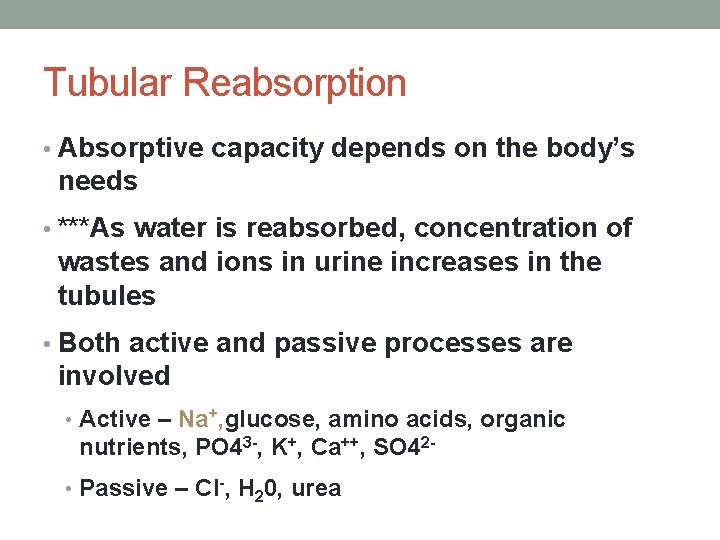 Tubular Reabsorption • Absorptive capacity depends on the body’s needs • ***As water is